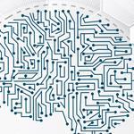 BRAINS² Türkiye | Robotik Programı